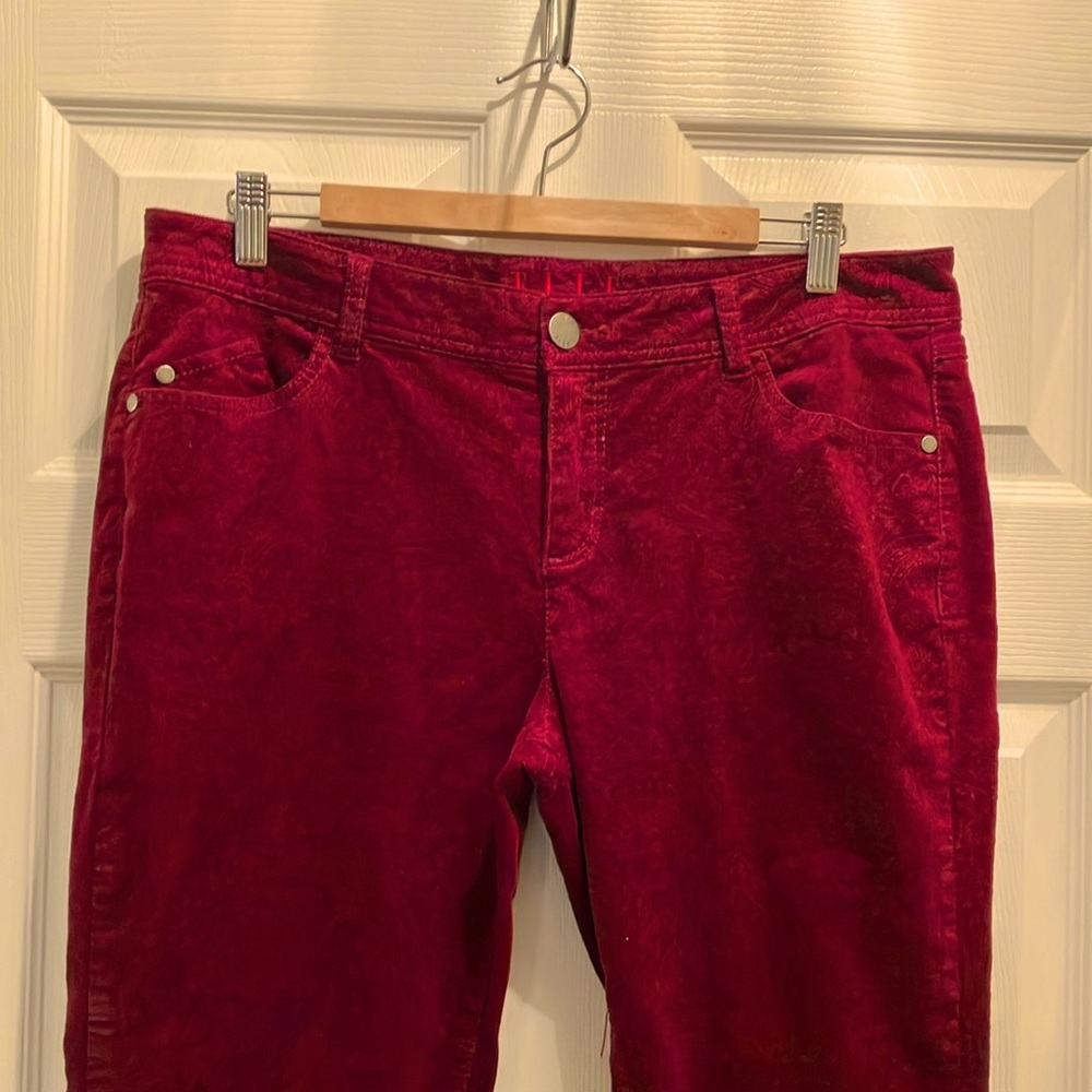 Beautiful Red Violet Corduroys with Paisley Pattern